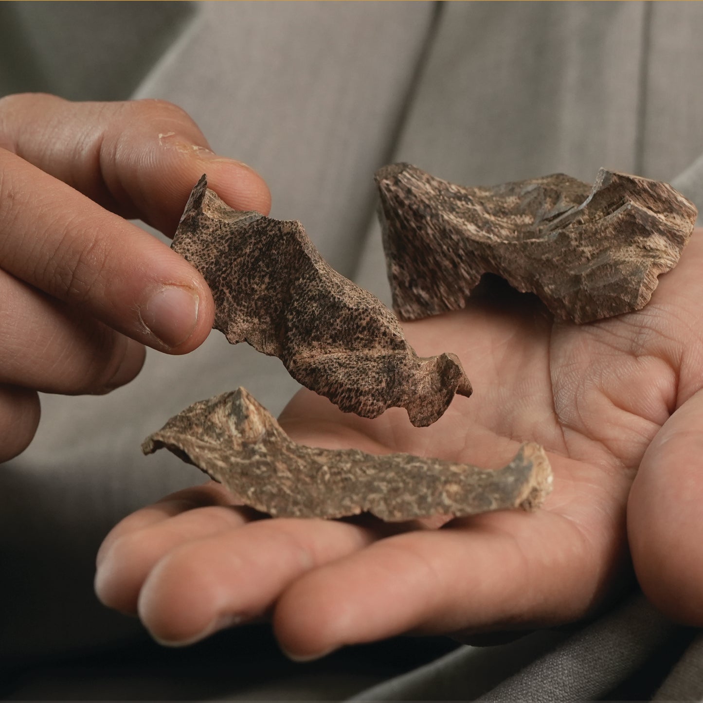 زوايا الفتنامي