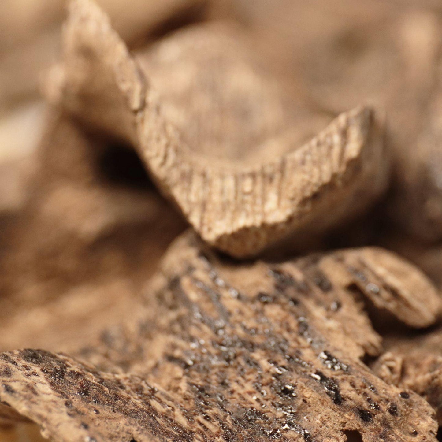 Untitled Dec25_10:12